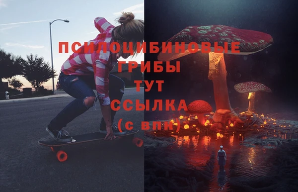 ECSTASY Аркадак
