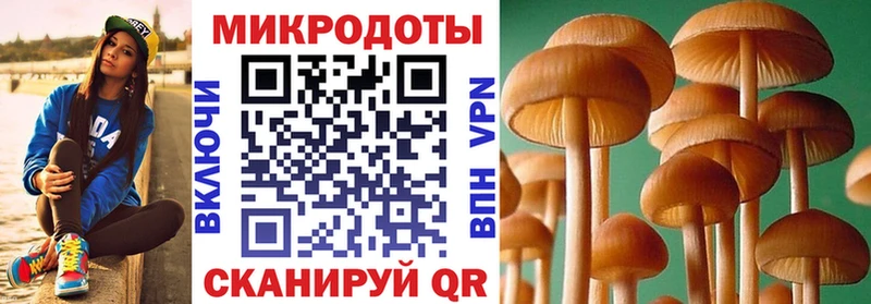 где можно купить   Мелеуз  Галлюциногенные грибы ЛСД 